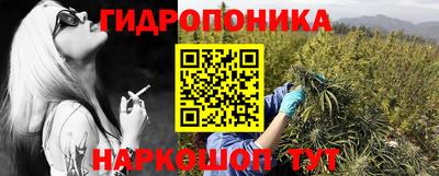 крисы Краснокаменск