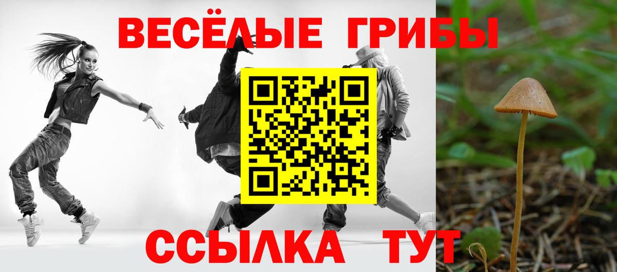 Добрянка  Псилоцибиновые грибы Magic Shrooms  Вход с VPN 